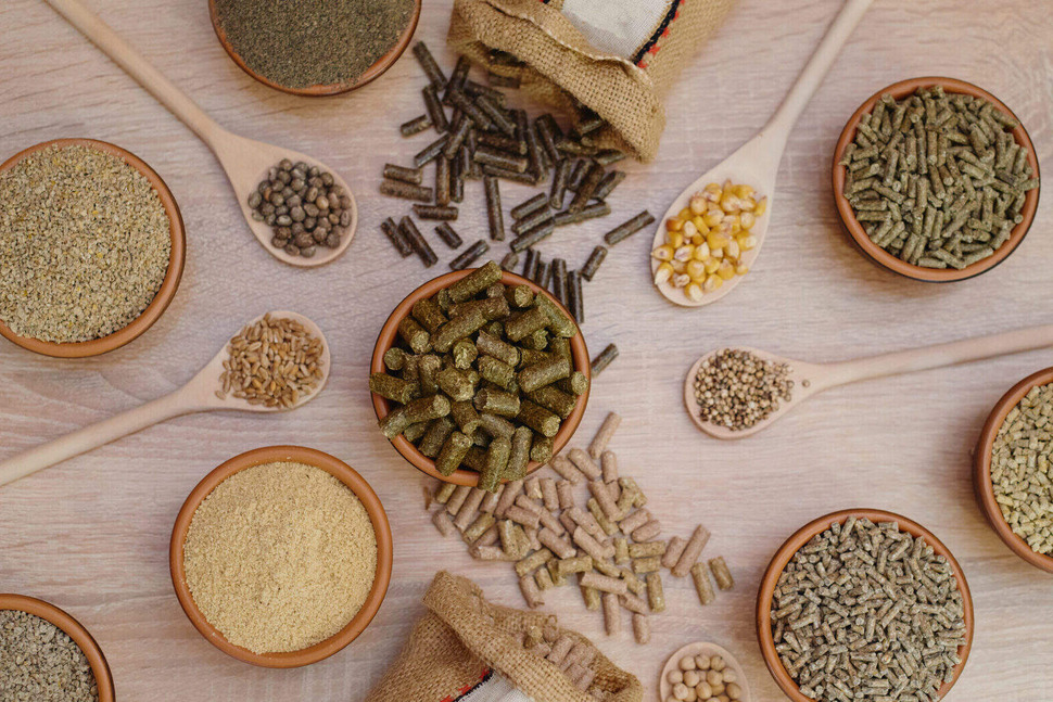 Latest Products Image